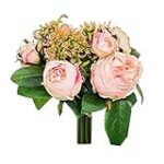 Rosa Pfirsich: Eine internationale Analyse von exotischen Früchten in Lebensmittelprodukten Rosa Pfirsich: Eine internationale Analyse von exotischen Früchten in Lebensmittelprodukten