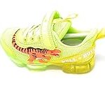 Analyse des internationalen Lebensmittelprodukts Red Bull Verde: Ein Blick hinter die Kulissen